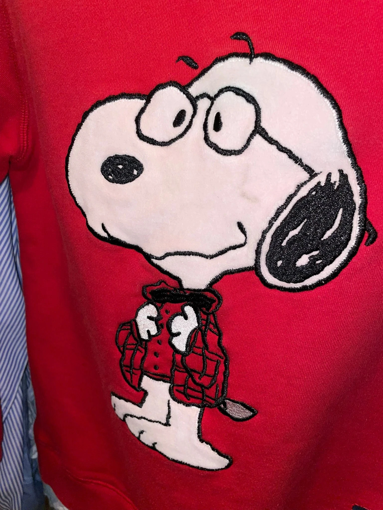 Jersey Snoopy - Cyrillus - 2020 – photo 3